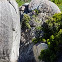 ZAF WC SimonsTown 2016NOV14 Boulders 033 : 2016, 2016 - African Adventures, Africa, November, South Africa, Southern, Western Cape, Simons Town, Cape Town, Boulders